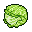 cabbage